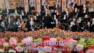 Frühlingsstimmen - Walzer op. 410_Johann Strauss Sohn_IMG_E0430
